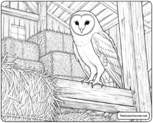 Barn Owl Perched In A Hayloft
