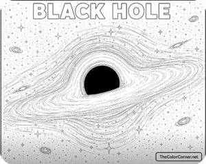 Black Hole Bending Starlight