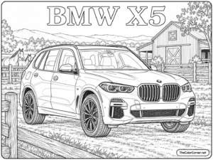 Bmw X5