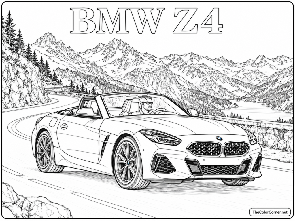 Bmw Z4
