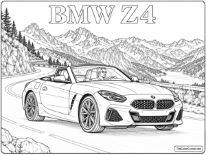 Bmw Z4
