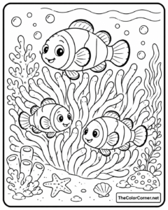 Clownfish Sea Anemone