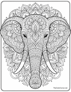 Elephant Mandala Face