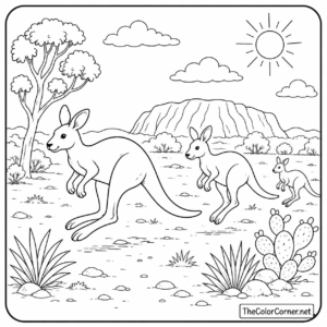 Kangaroos Outback Hopping