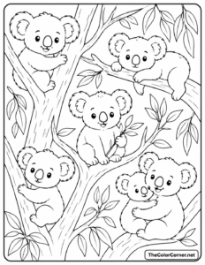 Koalas In Eucalyptus Trees
