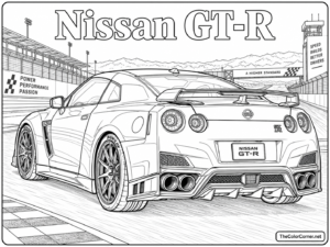 Nissan Gt R