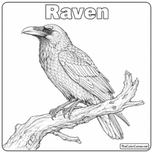 Raven On A Gnarled Branch