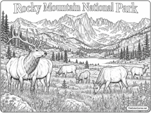 Rocky Mountain National Park