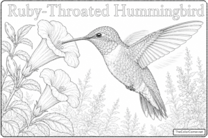 Ruby Throated Hummingbird