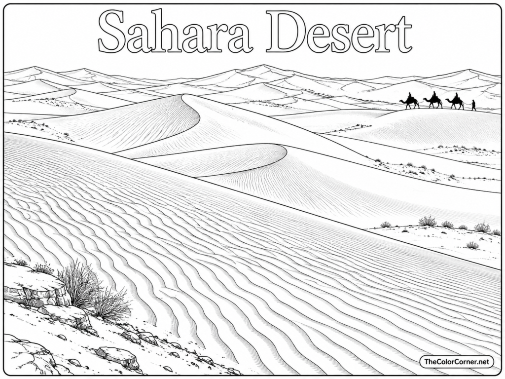 Sahara Desert Dunes