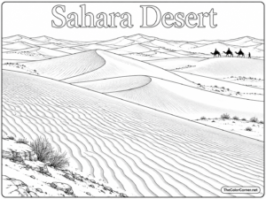 Sahara Desert Dunes