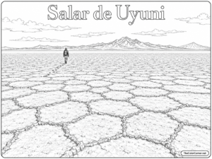 Salar De Uyuni