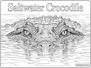 Saltwater Crocodile