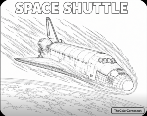 Space Shuttle Re Entering The Atmosphere