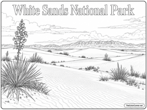 White Sands National Park