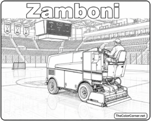 Zamboni