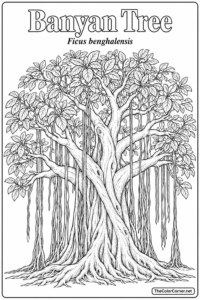 Banyan Tree