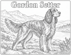Gordon Setter