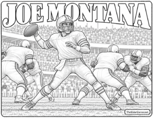Joe Montana