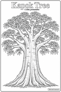 Kapok Tree