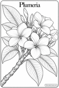 Plumeria