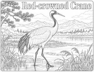 Red Crowned Crane