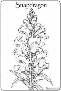 Snapdragon